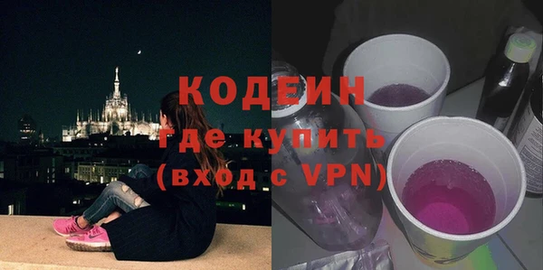 индика Горняк