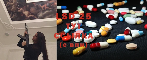 гидропоника Горнозаводск