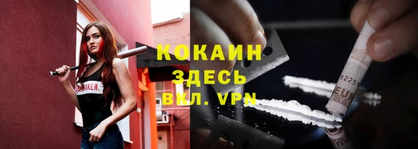 индика Горняк