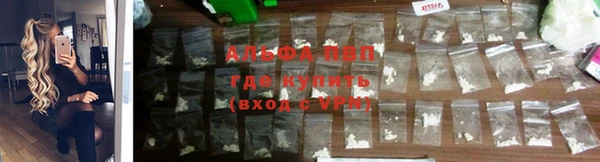 индика Горняк