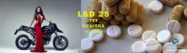 гидропоника Горнозаводск