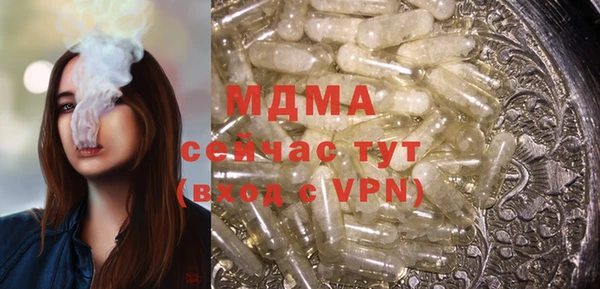 индика Горняк