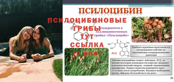 гидропоника Горнозаводск