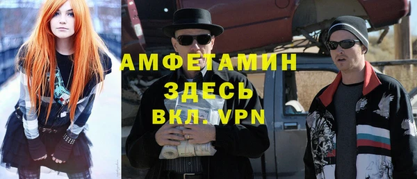 индика Горняк