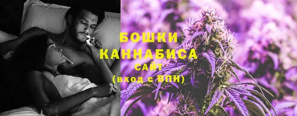 индика Горняк
