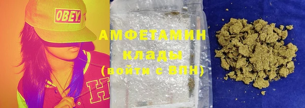 индика Горняк
