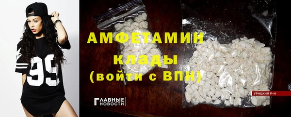 гидропоника Горнозаводск