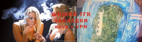 индика Горняк
