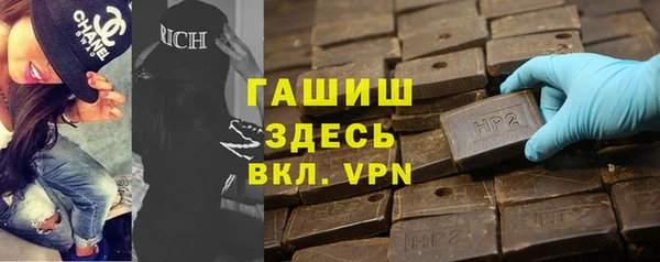 индика Горняк