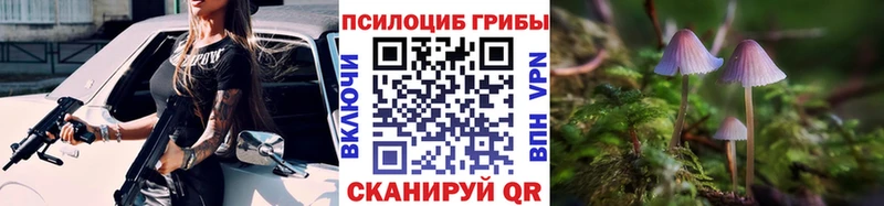 Псилоцибиновые грибы Psilocybine cubensis  mega ТОР  Нея 